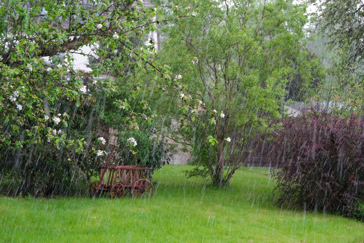 Garten im Regen mit Handwagen